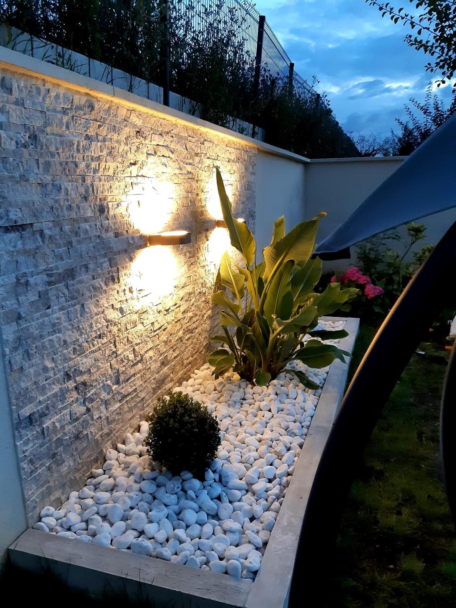Luminary Night